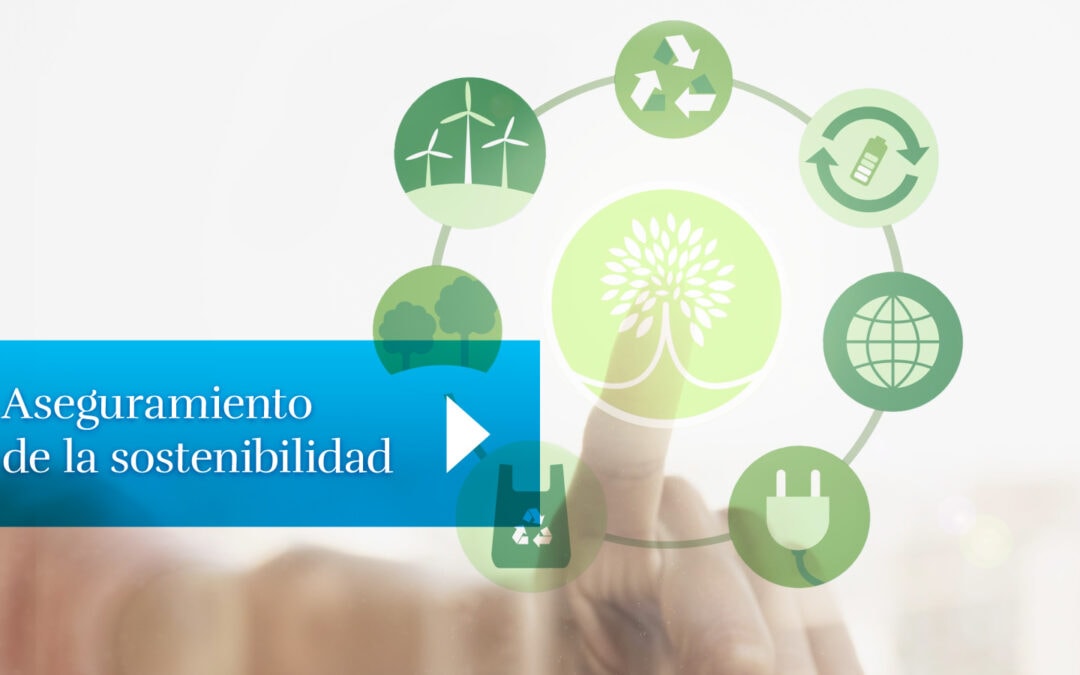 Aseguramiento de la sostenibilidad