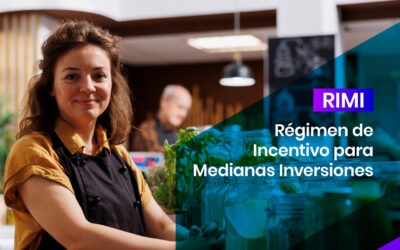 RIMI – Régimen de Incentivo para Medianas Inversiones